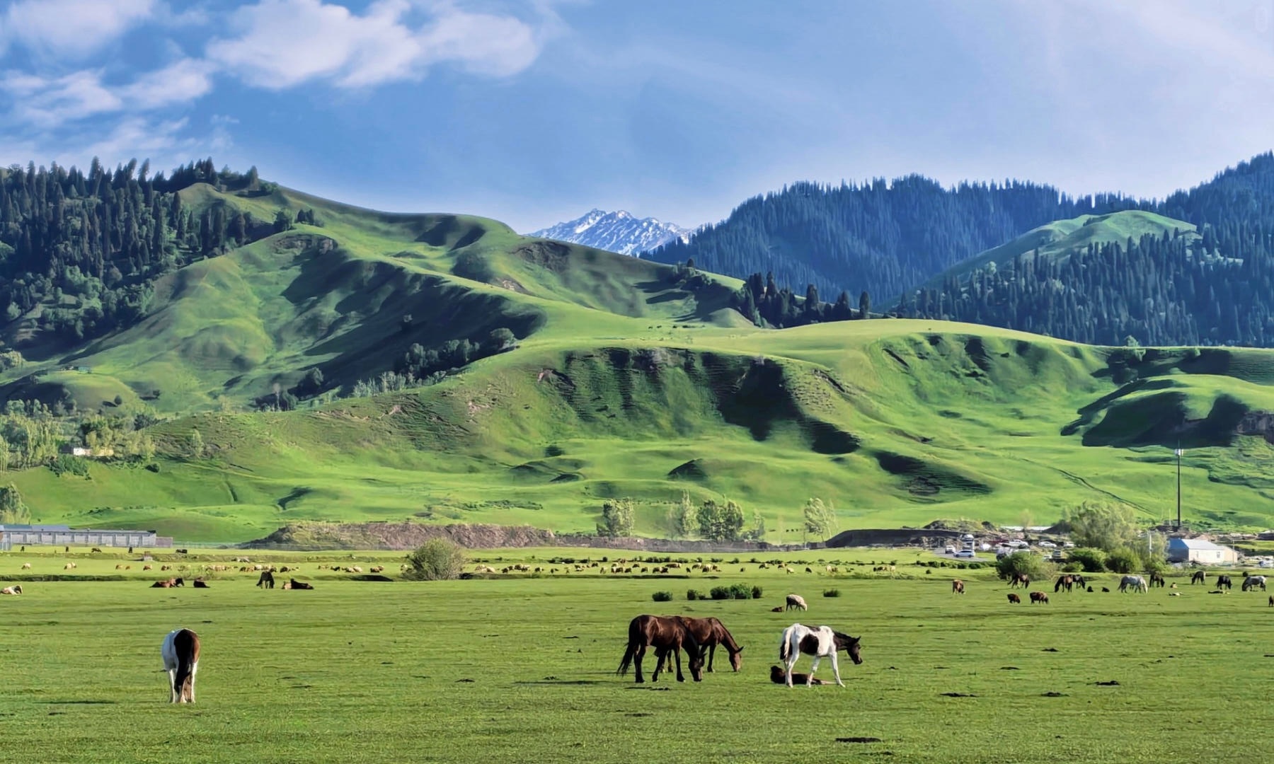 那拉提草原线路