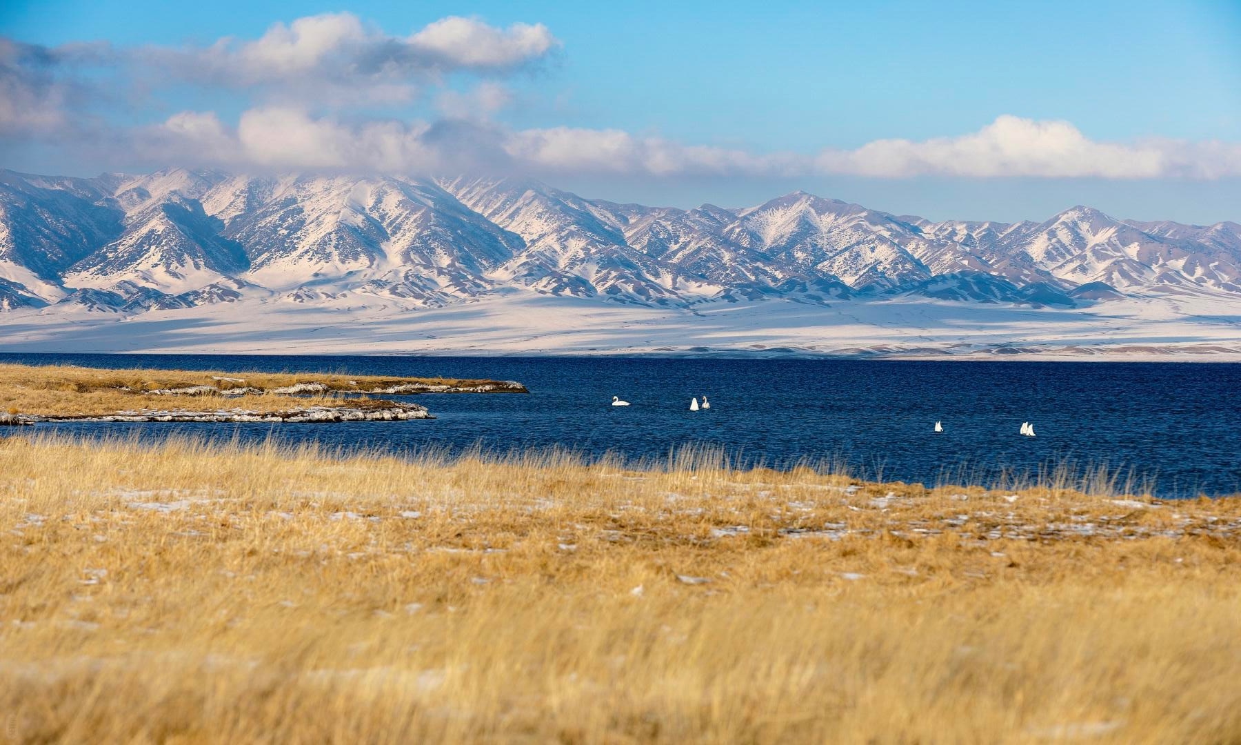 赛里木湖+薰衣草线路