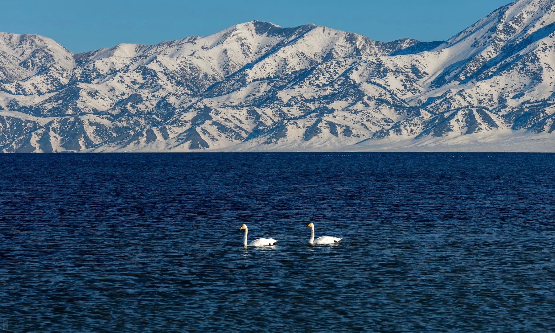 伊犁大环线7日游